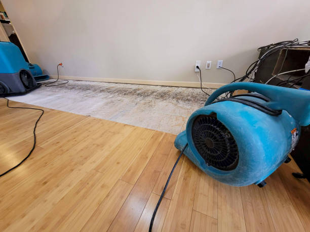 Professional Burst Pipe Water Damage technician working in Giddings, TX